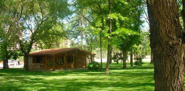 Imagen del artículo