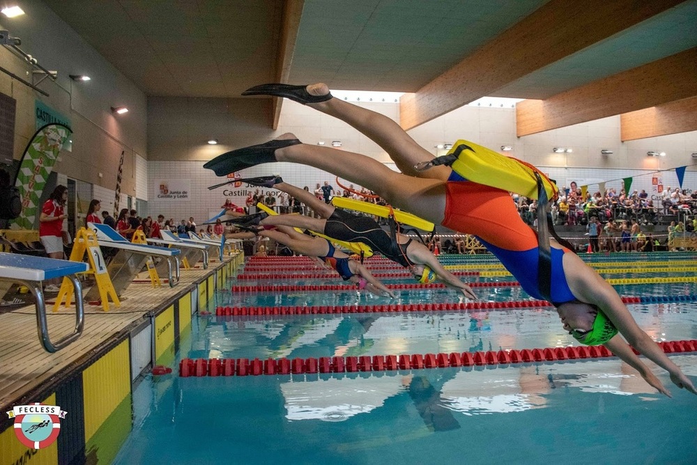 Imagen del artículo