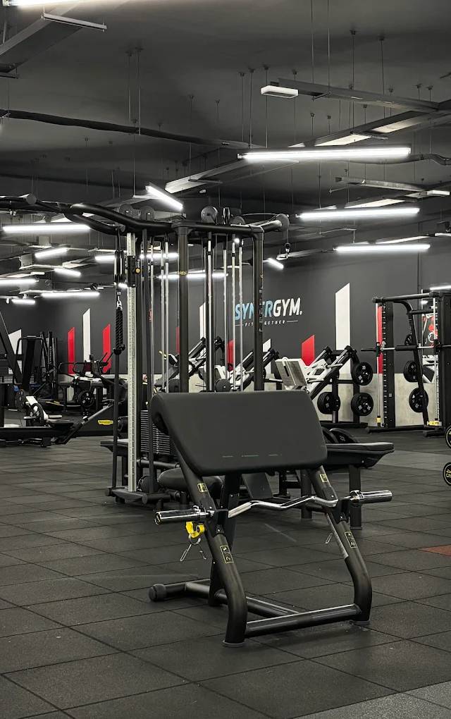 SYNERGYM Paseo Zorrilla