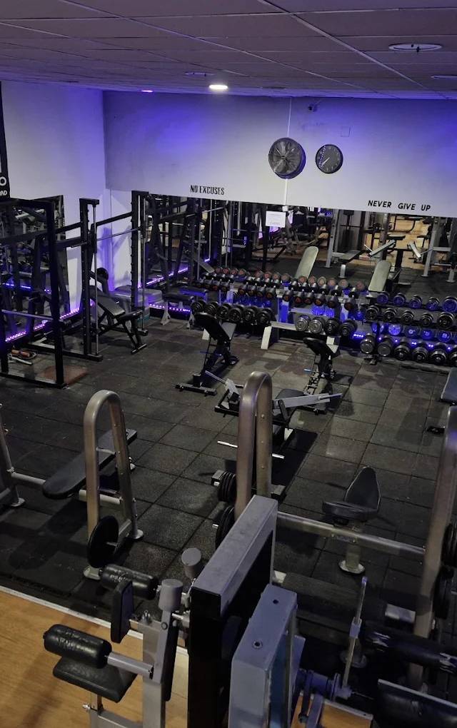 Gimnasio Train Hard