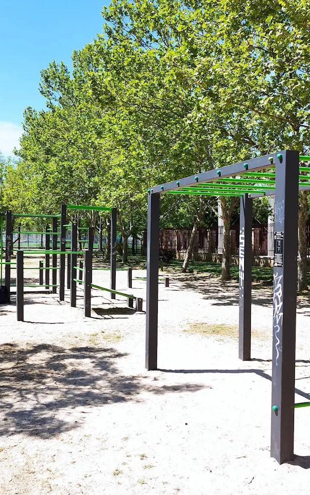 Parque de Calistenia de Laguna de Duero