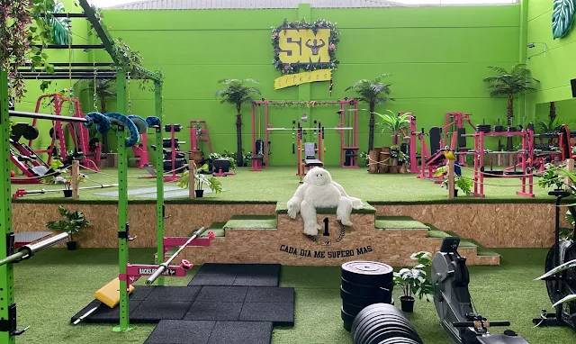 Gimnasio LA JUNGLA