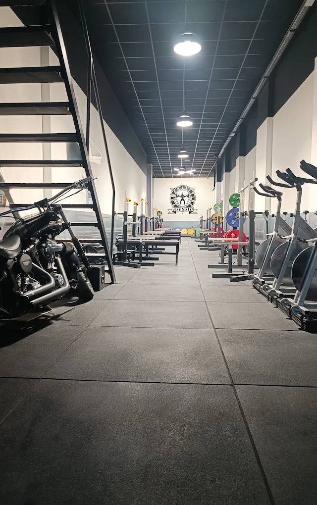 Gimnasio Asensio
