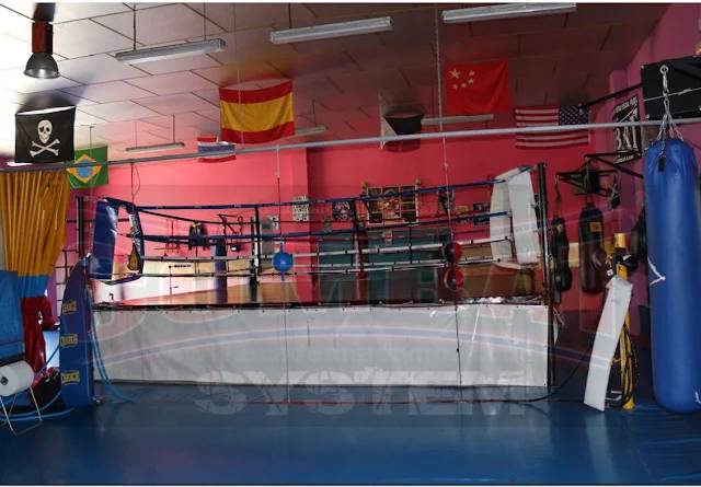 Academia Combat