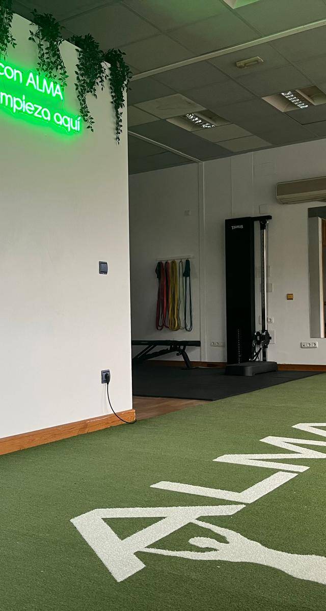 ALMA Entrenamiento Personal y Fisioterapia
