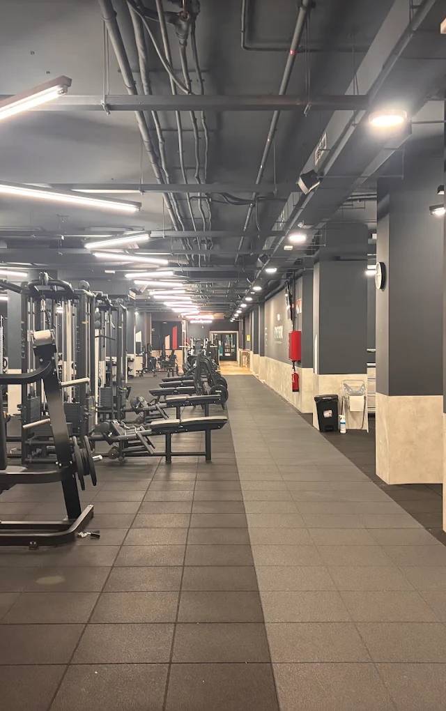 Synergym Delicias