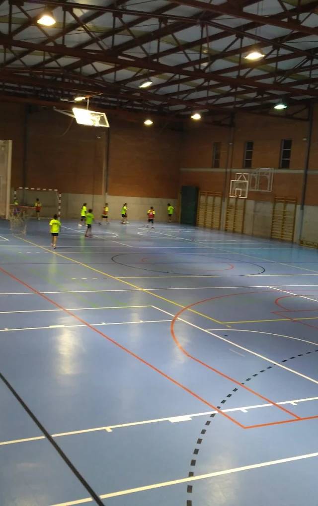 Pabellón Polideportivo Tierno Galván
