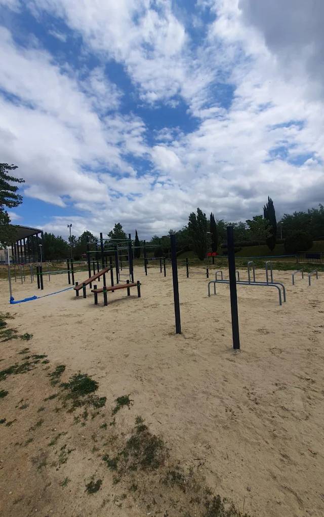 Parque de Calistenia y Parkour Arturo Eyries